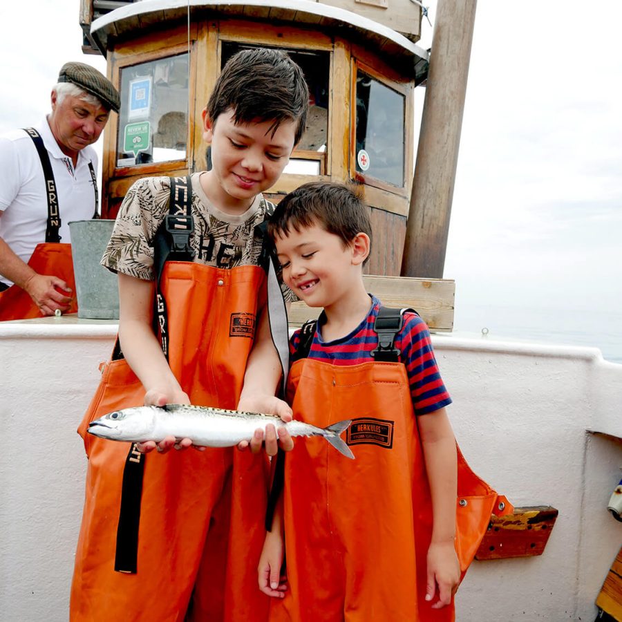 Fishing mackerel 